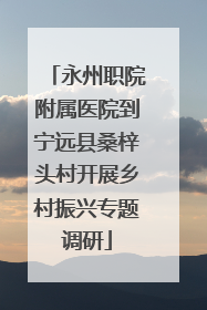 永州职院附属医院到宁远县桑梓头村开展乡村振兴专题调研